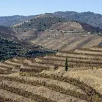 Quinta Amendoeiras Фермерский дом