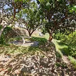 Quinta Amendoeiras