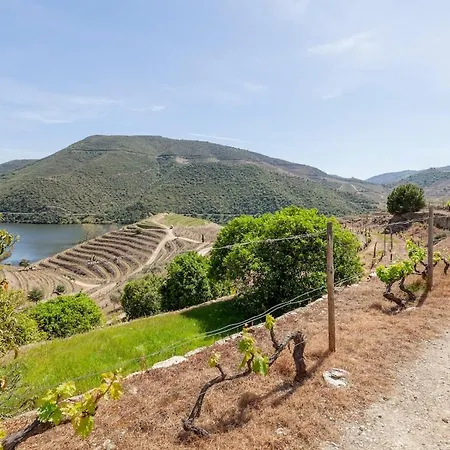 Quinta Amendoeiras Lantgård