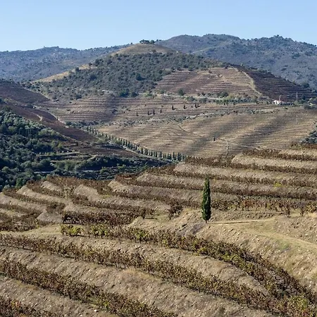 Quinta Amendoeiras Lantgård