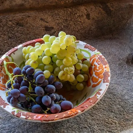 Quinta Amendoeiras Lantgård Carrazeda de Anciães