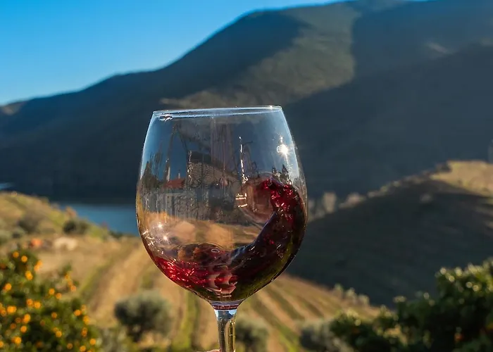 Quinta Amendoeiras Feriegård