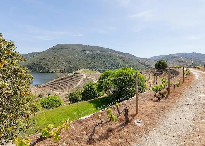 Quinta Amendoeiras Çiftlik konaklama