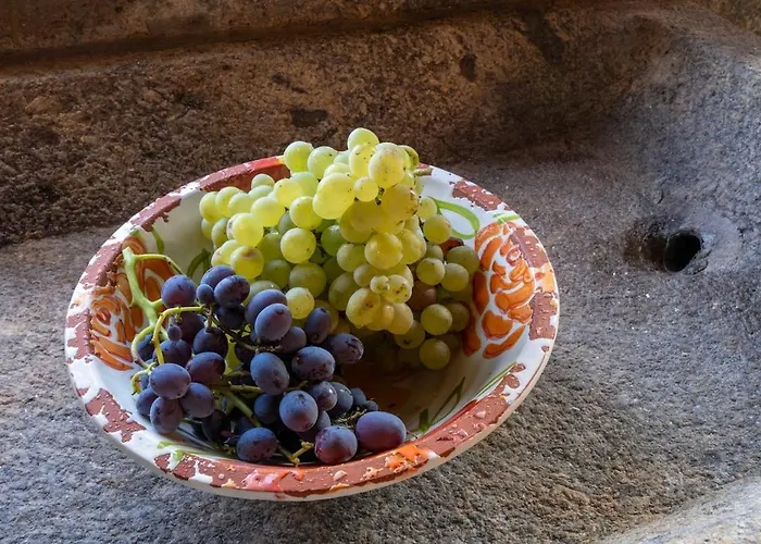 Quinta Amendoeiras Çiftlik konaklama Carrazeda de Anciães